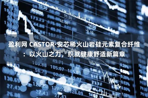 盈利网 CASTOR·安芯稀火山岩硅元素复合纤维：以火山之力，织就健康舒适新篇章