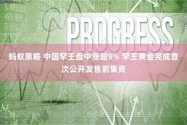 蚂蚁策略 中国罕王盘中涨超9% 罕王黄金完成首次公开发售前集资